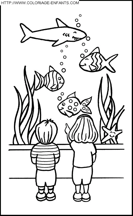 coloriage poissons