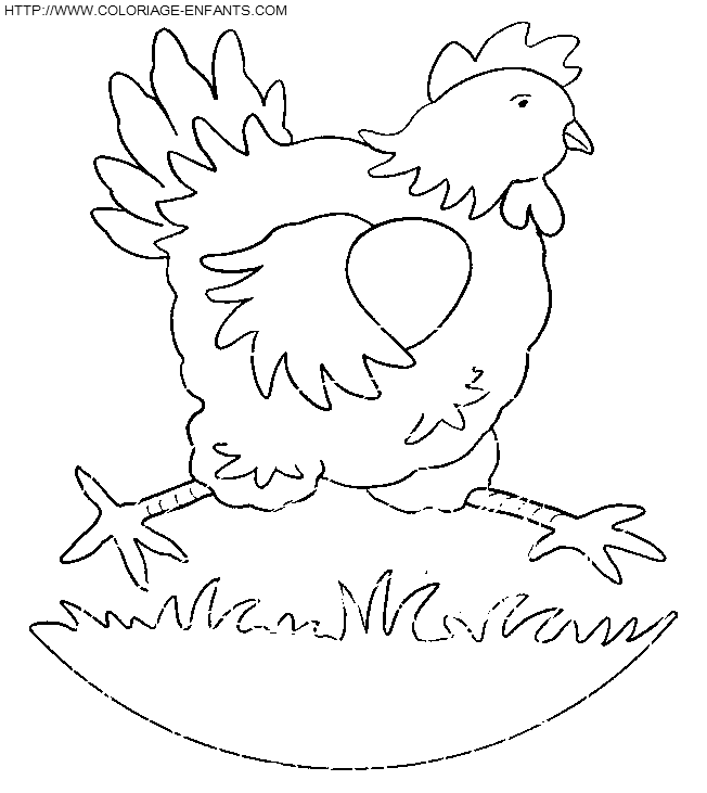 coloriage poules