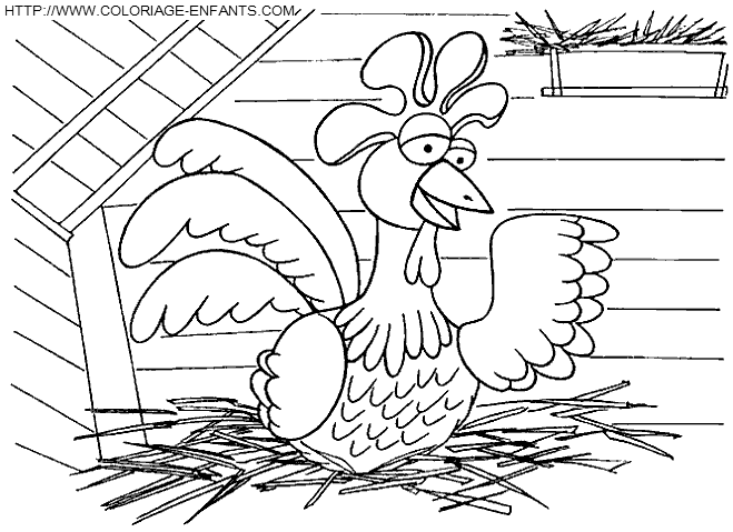 coloriage poules