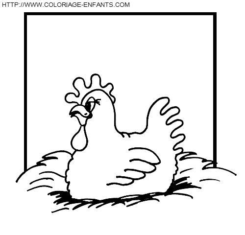 coloriage poules