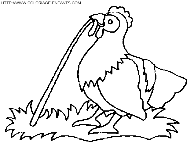 coloriage poules