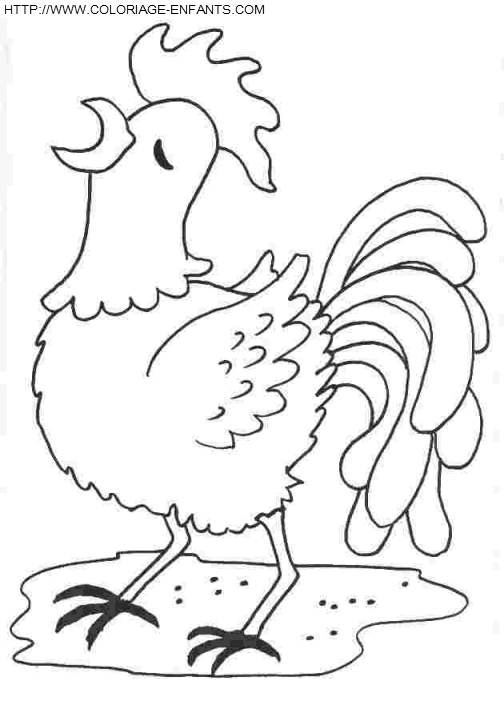 coloriage poules