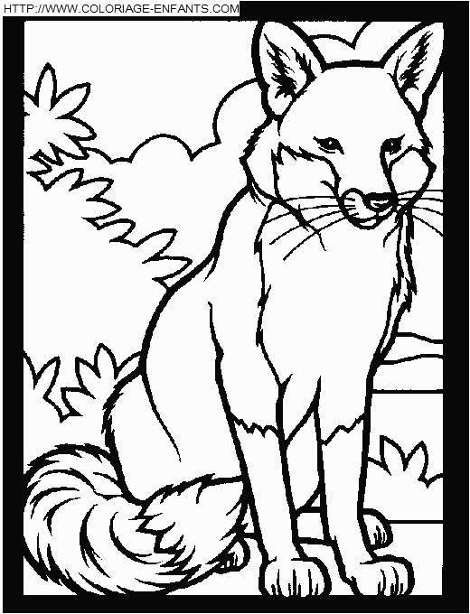 coloriage renards