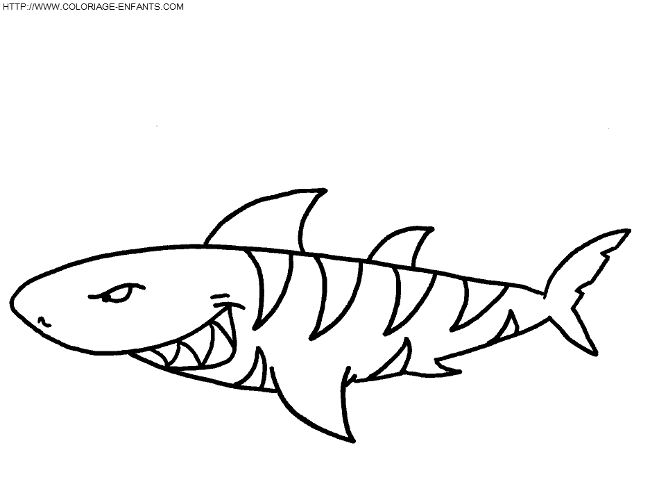 coloriage requin tres mechant