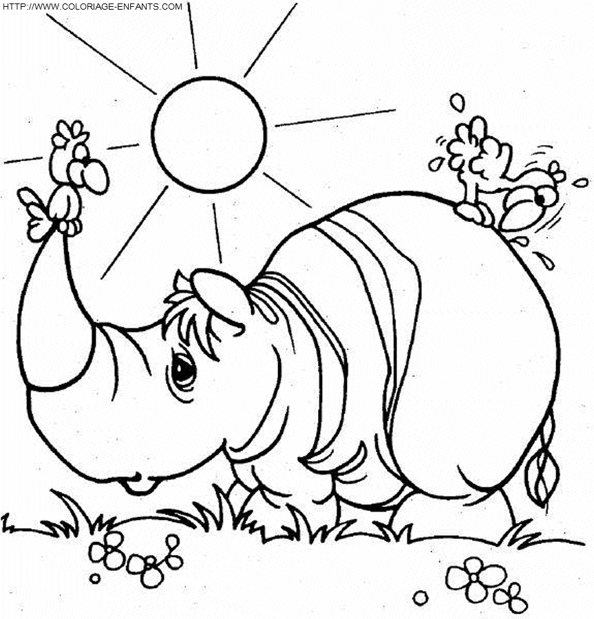 coloriage rhinoceros