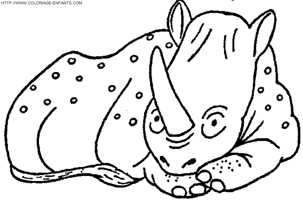 coloriage rhinoceros