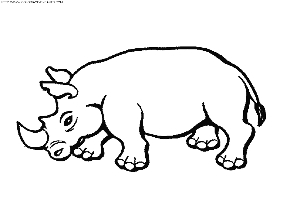 coloriage rhinoceros