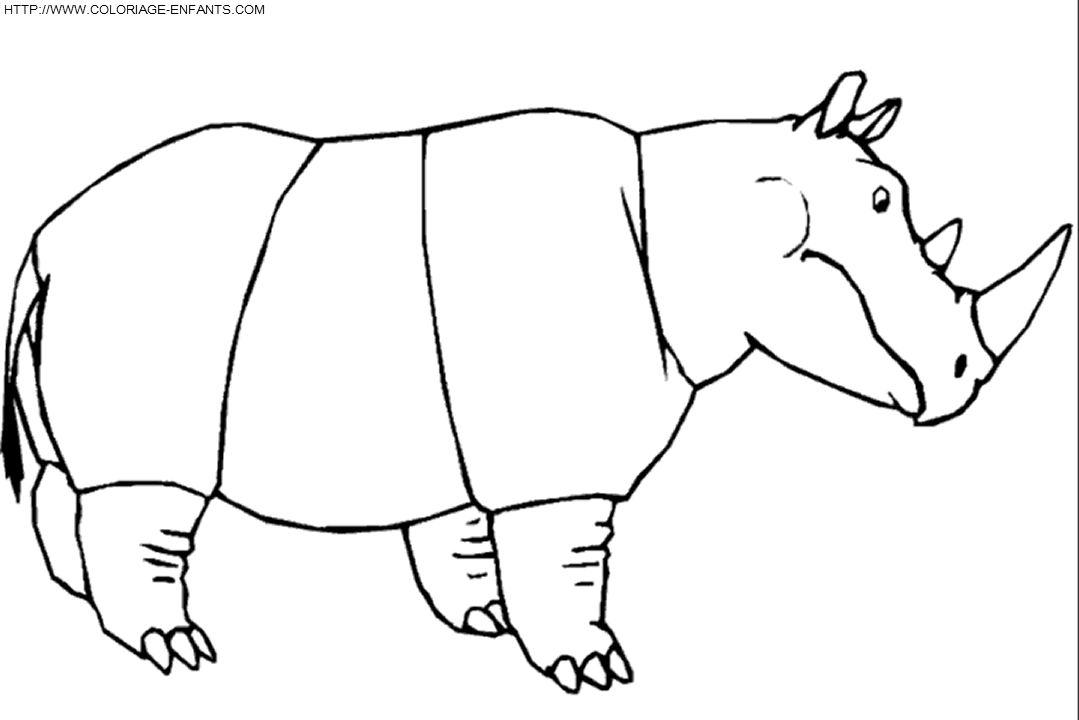 coloriage rhinoceros