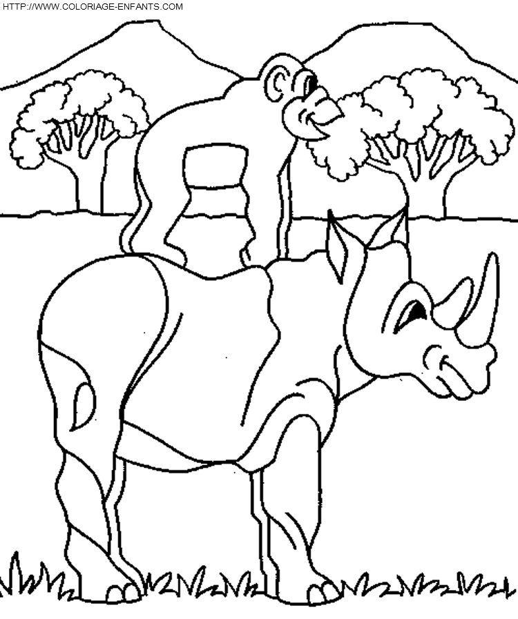 coloriage rhinoceros