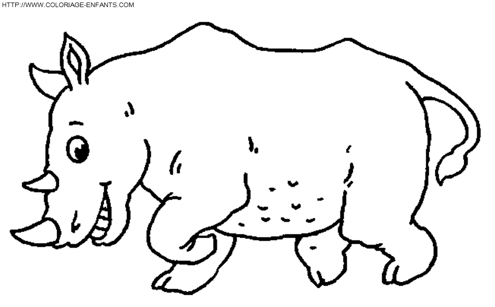 coloriage rhinoceros