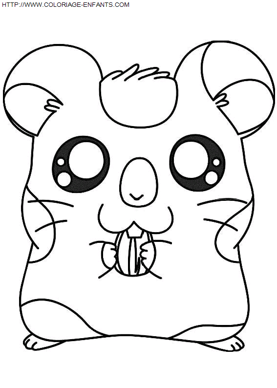 coloriage Serie Tv Hamtaro