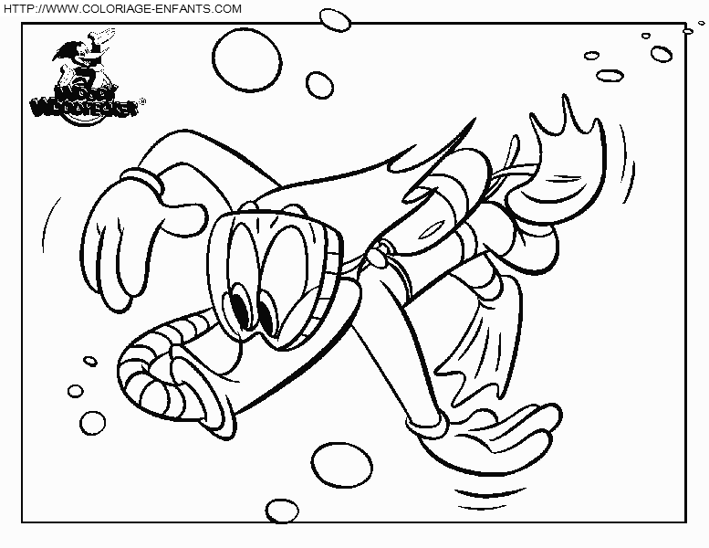 coloriage woody woodpecker