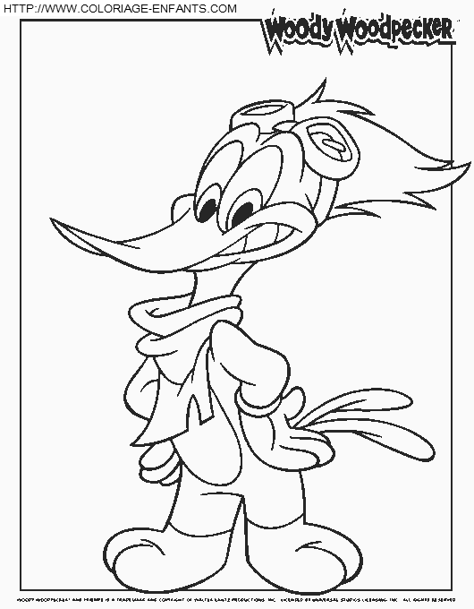 coloriage woody woodpecker