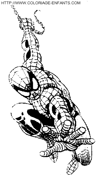 coloriage spiderman attention le voila