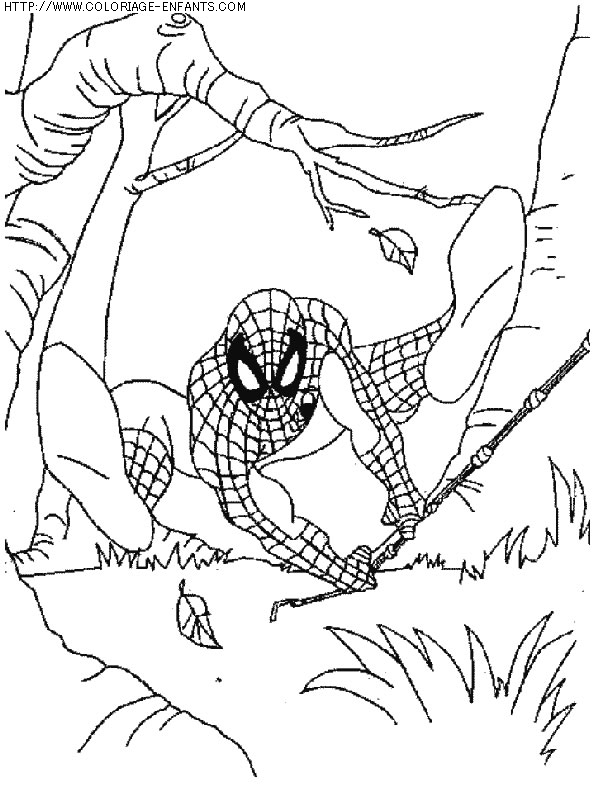 coloriage super heros spiderman