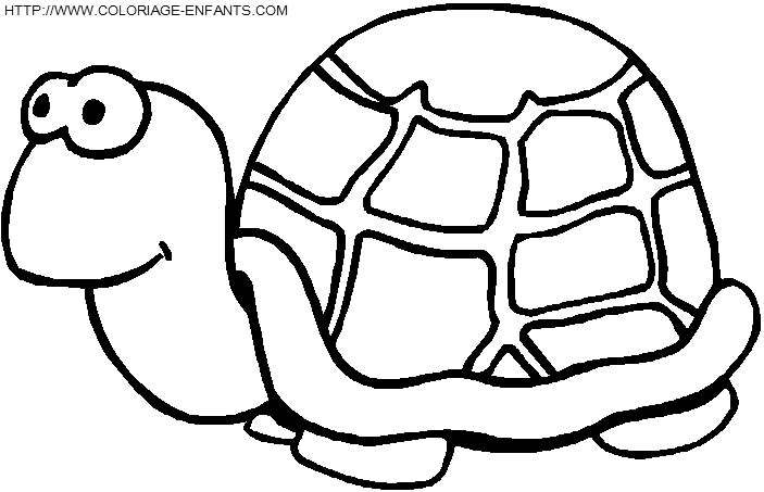 coloriage tortues