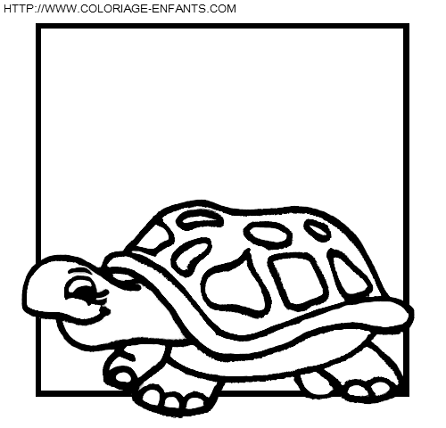 coloriage tortues