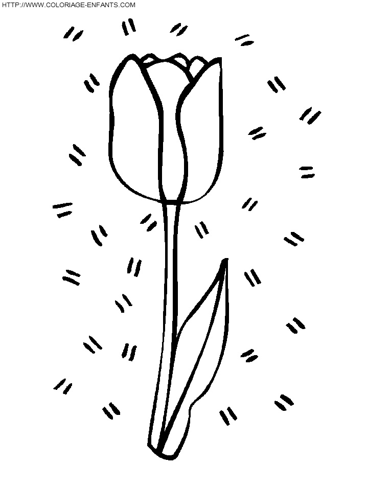 coloriage tulipe entouree par des abeilles