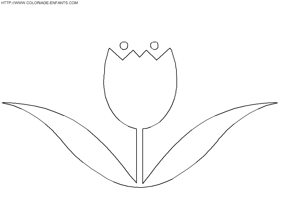 coloriage tulipe