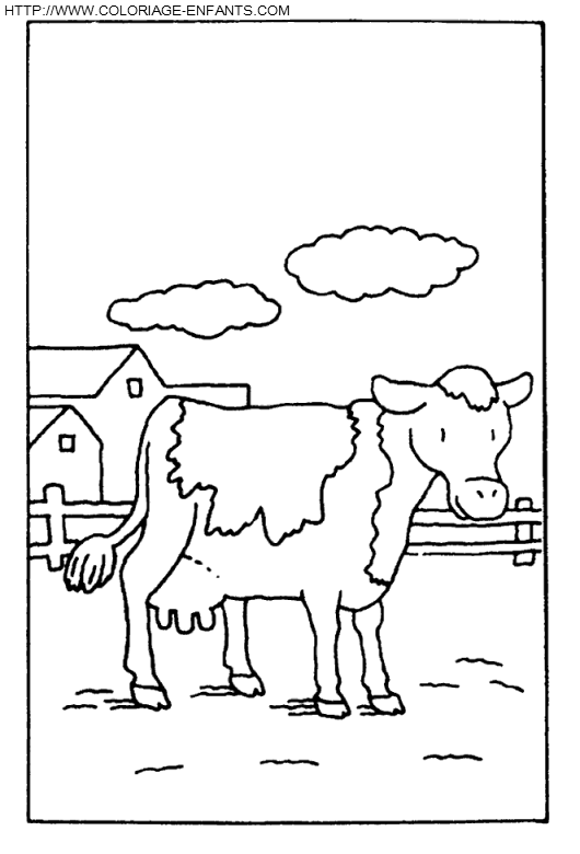 coloriage vaches