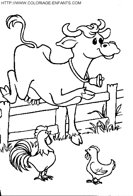 coloriage vaches