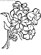 coloriage 3eme fleur