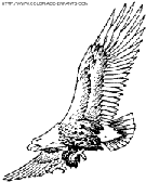 coloriage aigles