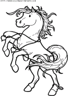 coloriage animaux chevaux