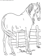 coloriage animaux chevaux