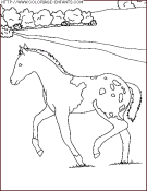 coloriage animaux chevaux