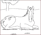 coloriage animaux chevaux