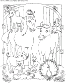 coloriage animaux chevaux