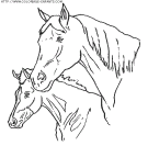 coloriage animaux chevaux