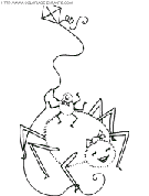 coloriage araignees