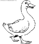 coloriage canards