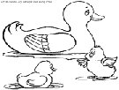 coloriage canards