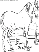 coloriage cheval dans son enclos