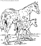 coloriage cheval indien