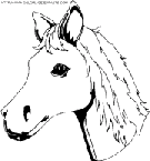 coloriage cheval tete de poulain