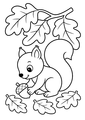 Coloriage automne : écureuil ramassant une noisette sous les feuilles à imprimer