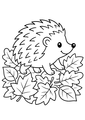 Coloriage automne : hérisson traversant un tapis de feuilles à imprimer