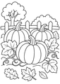 Coloriage citrouilles mûres dans un potager d'automne à imprimer