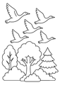 Coloriage automne : oiseaux migrateurs volant au-dessus des arbres à imprimer