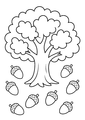 Coloriage automne : glands éparpillés autour d'un chêne à imprimer