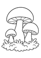 Coloriage des champignons poussant dans la mousse à imprimer