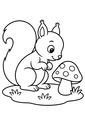 Coloriage Champignons : un écureuil observant un champignon à imprimer