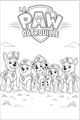 Coloriage chiots de la Pat Patrouille alignés dans l'herbe à imprimer