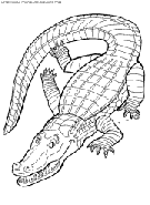 coloriage crocodiles