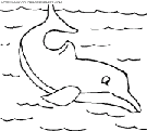 coloriage dauphins