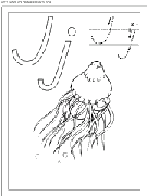 coloriage ecriture 1 lettre j comme joyeuse pieuvre